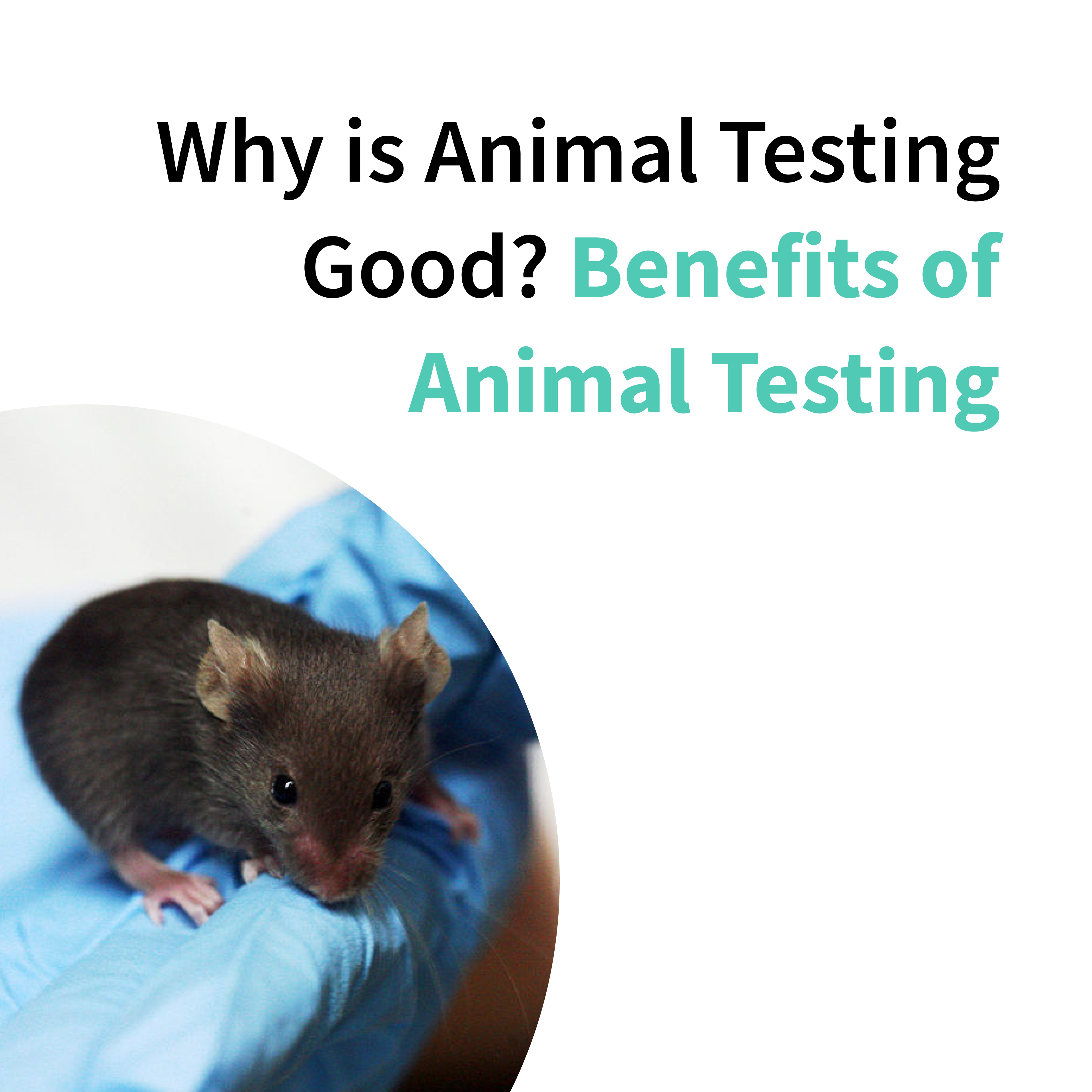 Why is animal testing good? Benefits of animal testing Biobide Why is animal testing good? Benefits of animal testing Biobide